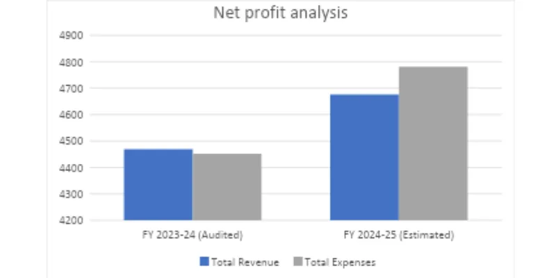 Financial Statement Analysis